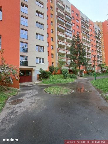 Lokal użytkowy, 30,80 m², Wrocław