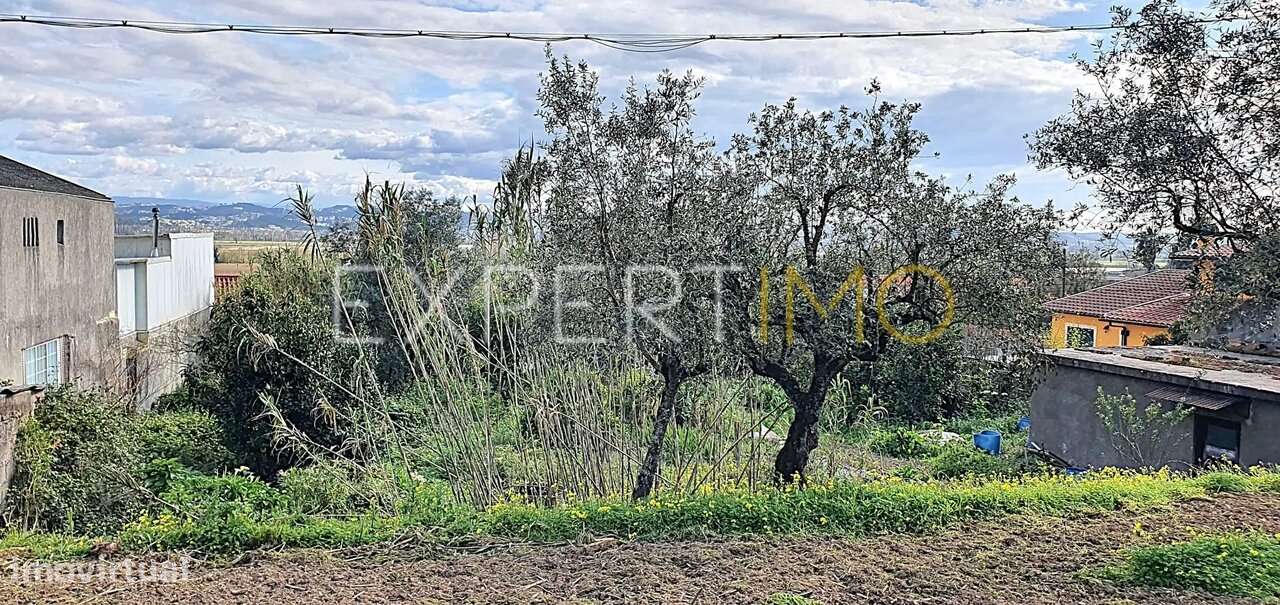 Moradia V1 Coimbra-14