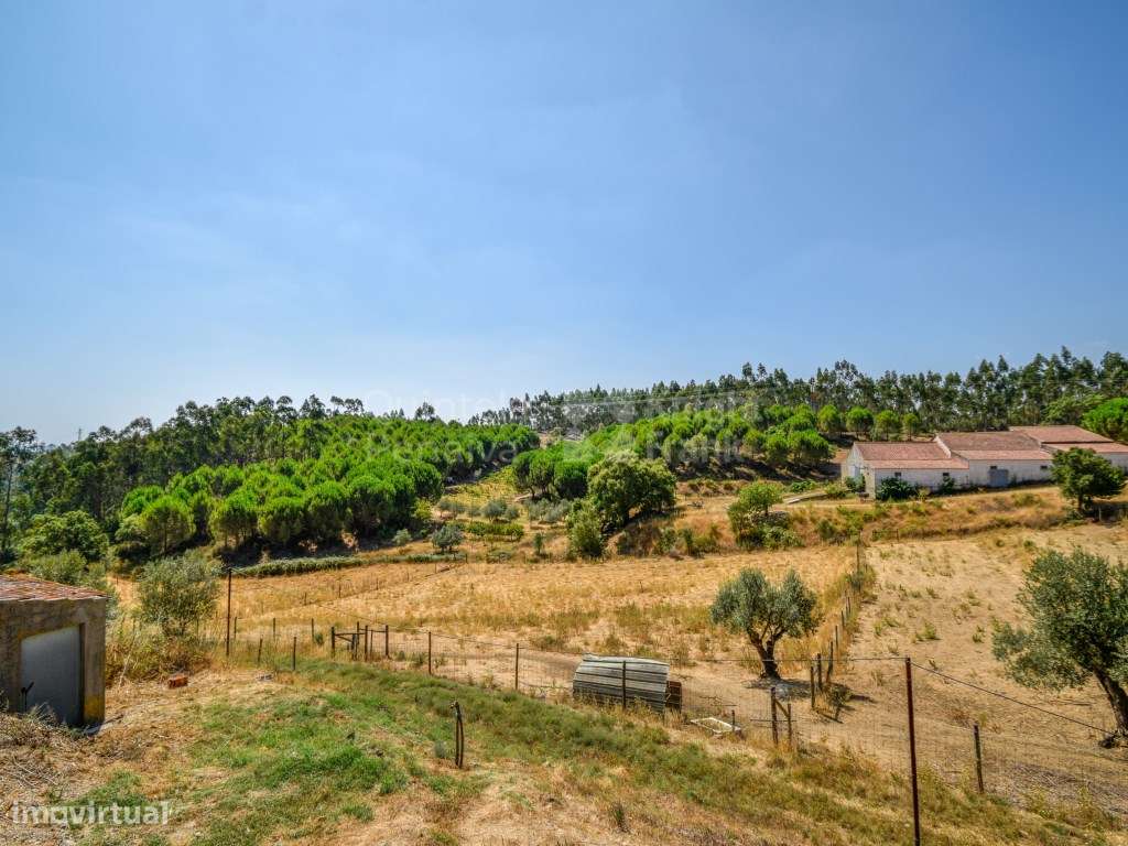 Quinta T6 para venda em Vila Nova da Barquinha-48