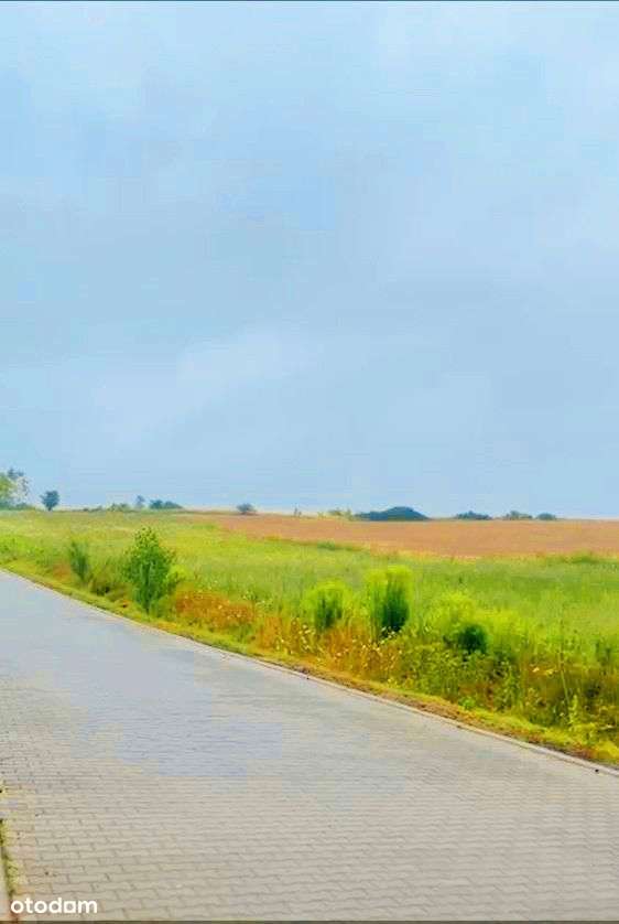 Atrakcyjna działka z planem – Przytok k. Zielonej - Pełny obrazek: 4/19