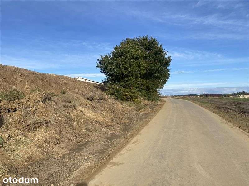 Działka rolna - Goszczyno - Pełny obrazek: 4/6