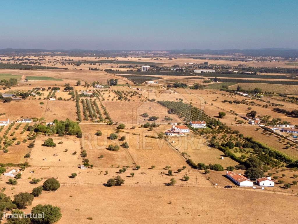 Terreno rústico, em São Miguel de Machede, sem viabilidade de const... - Grande imagem: 4/10