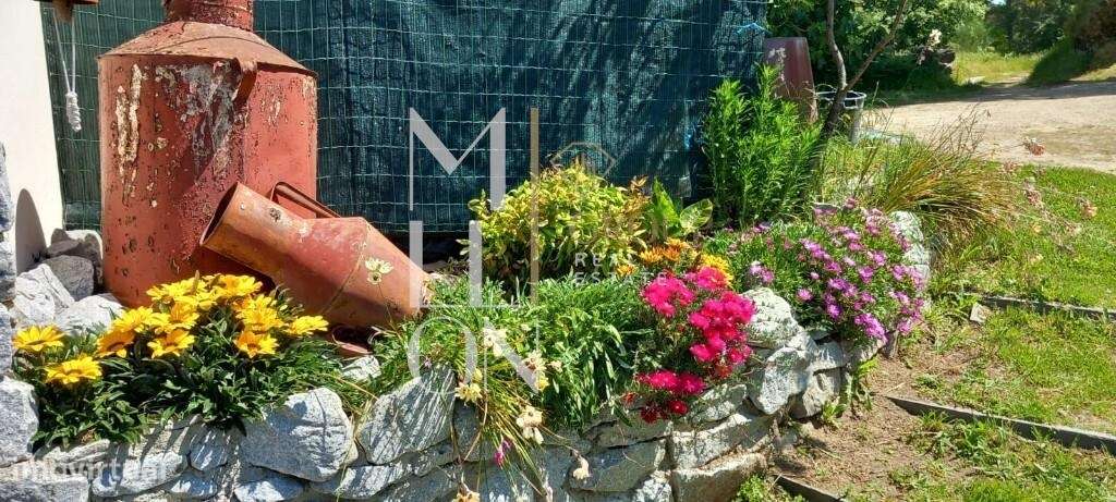 Quinta com casa rústica renovada recentemente - Grande imagem: 5/20