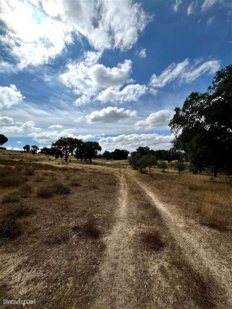 Quinta >=T10 Venda em Cortiçadas de Lavre e Lavre,Montemor-o-Novo-46