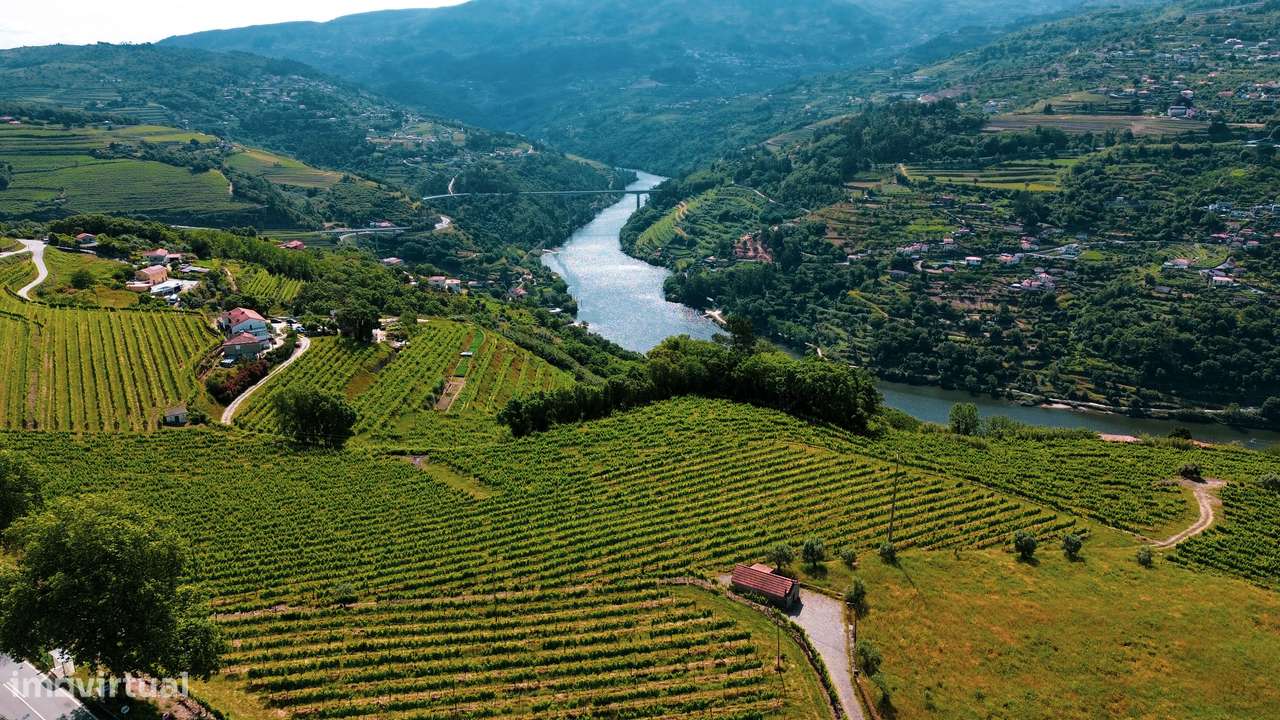 Quintinha com Vista para o Rio Douro – Baião-13