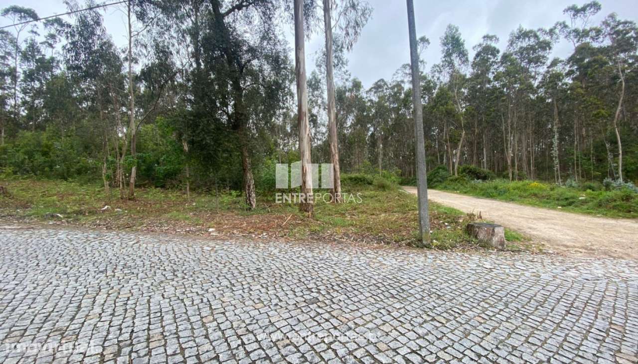 Venda de Terreno com 10.000 m2, Tougues, Vila do Conde - Grande imagem: 2/17