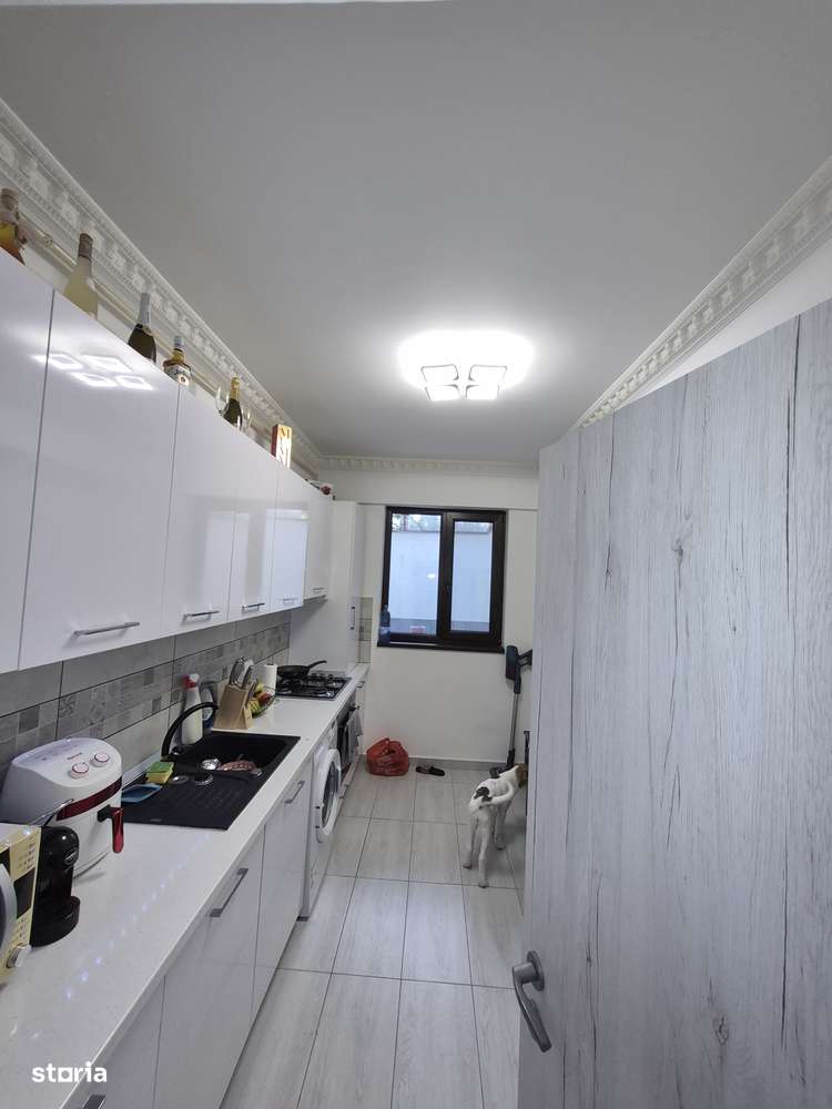 Apartament cu 2 camere Valea Lupului Ion Petru Culianu parter terasa-6