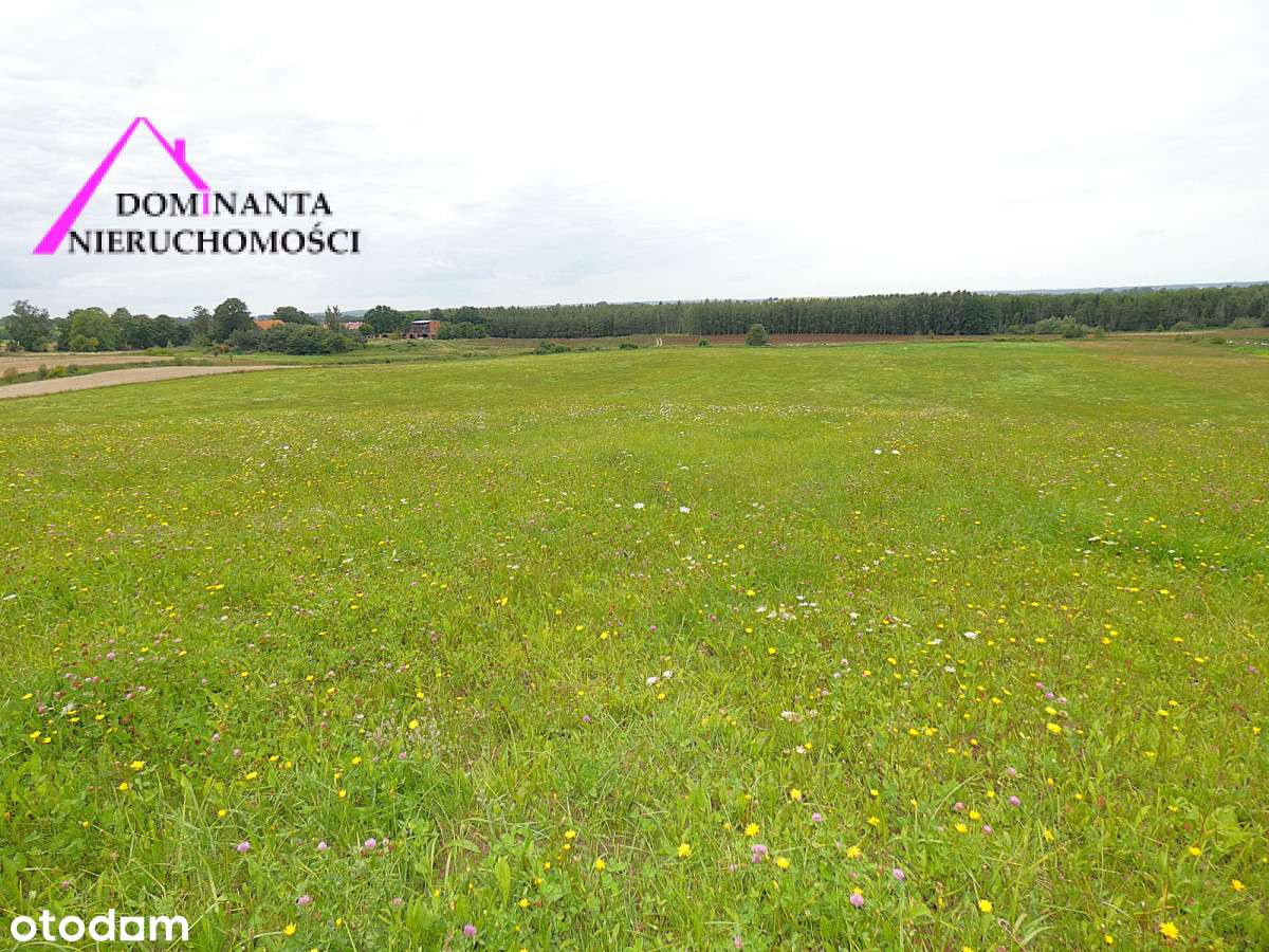 Działki rolne blisko lasu na Mazurach, 10 ha.-15