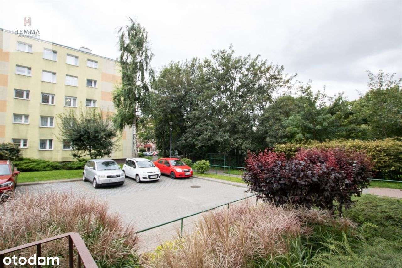 Mieszkanie, 51,29 m², Elbląg-7