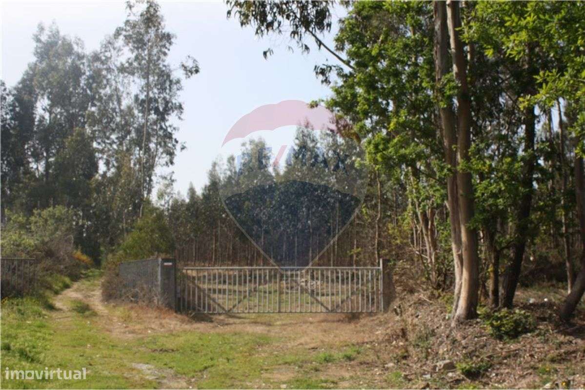 Terreno  para venda - Grande imagem: 5/9