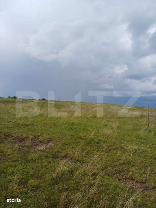 Teren extravilan 1249 mp in Copaceni! Oportunitate investitie! - Imagine principală: 3/4