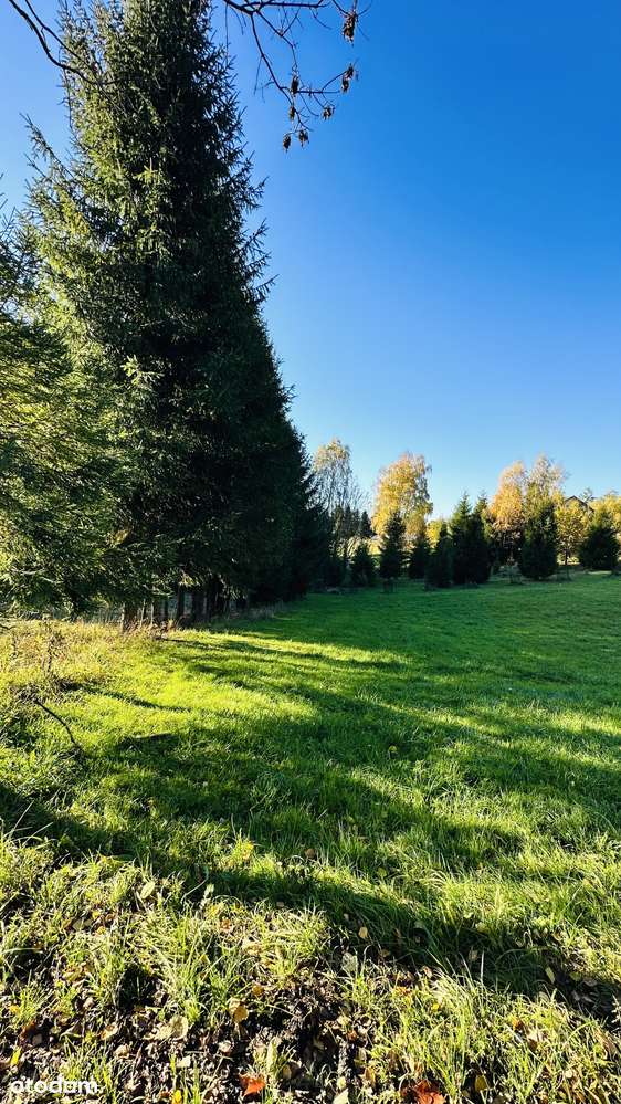 10 ar* BUDOWLANA* Przy LESIE* W GÓRACH* CICHO-6