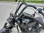 Harley-Davidson Softail - 15