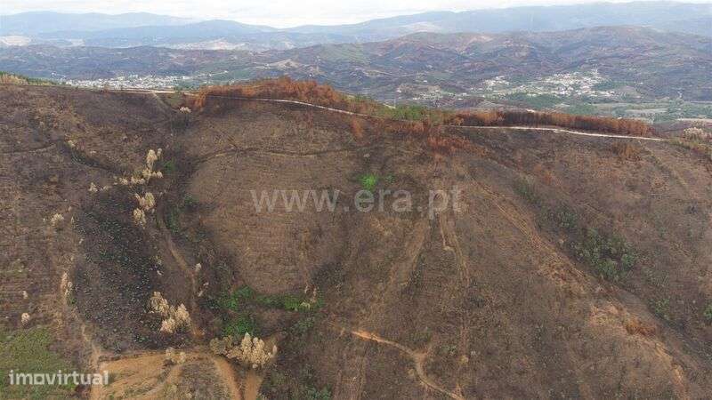Terreno / Fundão, Telhado - Grande imagem: 5/12