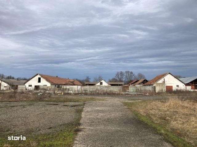 Terenuri + Constructii dezafectate - 20.146 mp , Vad-BV - Imagine principală: 2/7