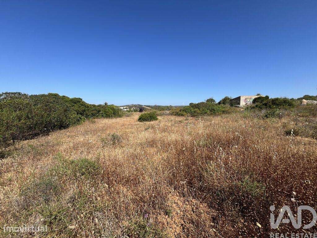 Terreno Agrícola em Barão de São Miguel - Grande imagem: 4/6