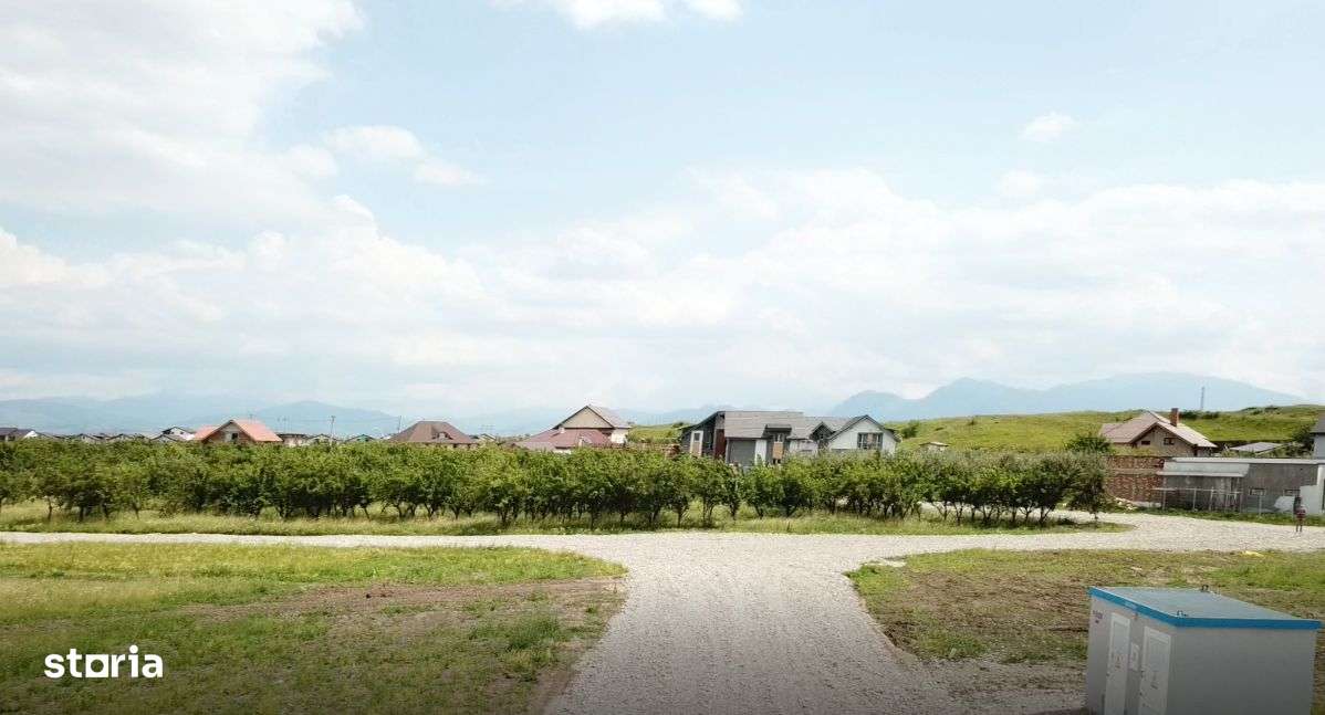 Vand teren intravilan Sanpetru la poalele Dealului Lempes-13