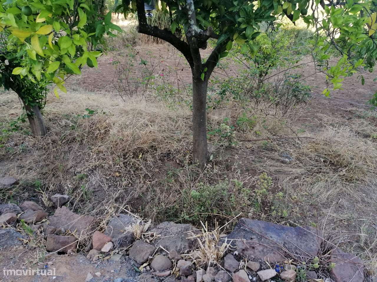 Moradia por recuperar em lote para 2 moradias em Fazendas de Almeirim - Grande imagem: 5/5