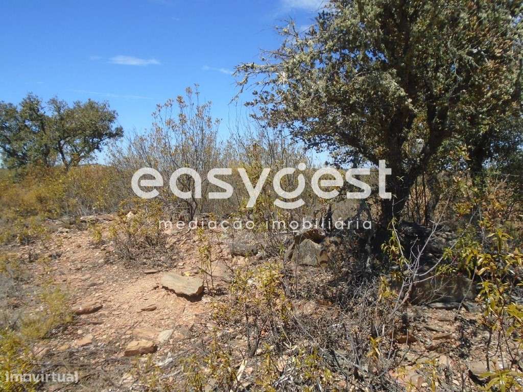 Terreno Rústico em Corte do Pinto - Grande imagem: 4/13