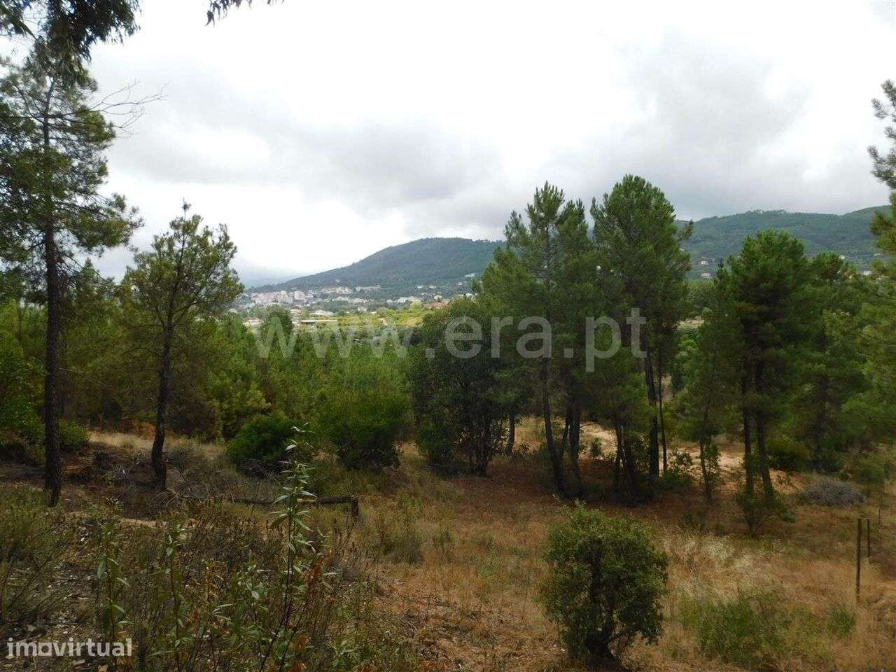 Terreno para Construção / Fundão, Aldeia Nova - Grande imagem: 4/12