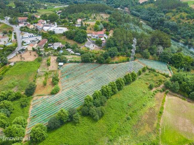Terreno Agrícola - Figueiredo, Amares-5
