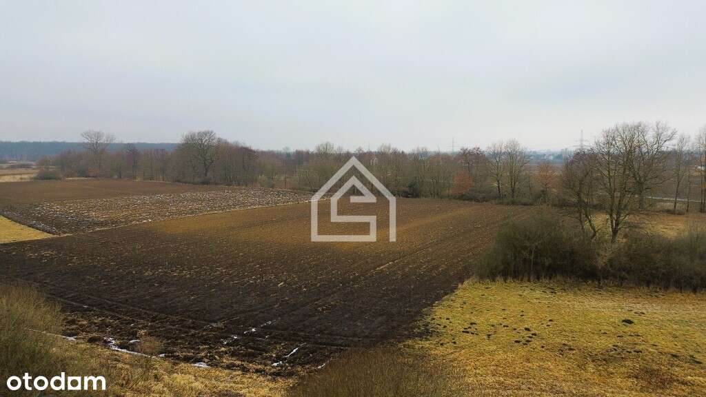 Grobla działka rolna - Pełny obrazek: 4/7