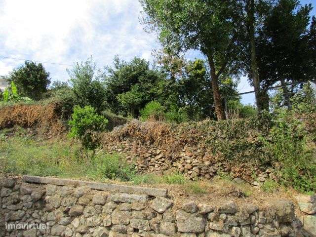 Quintinha em Roriz-21