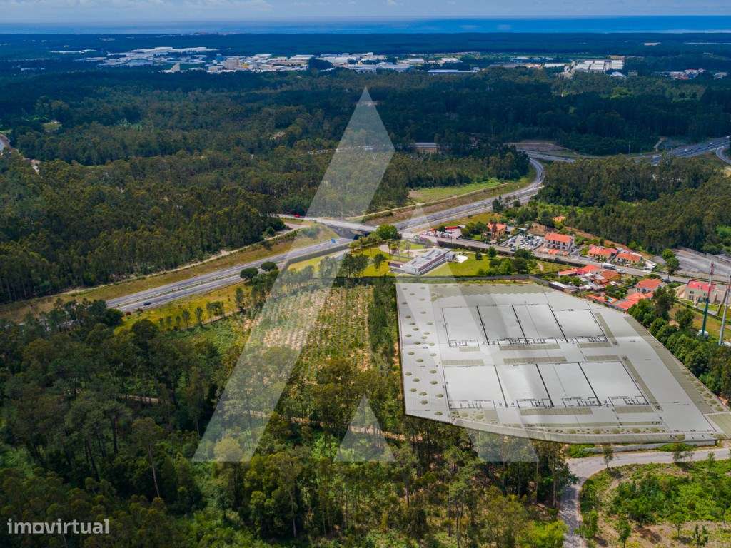 Terreno para construção de Armazéns - Junto acesso A29 - Grande imagem: 3/18