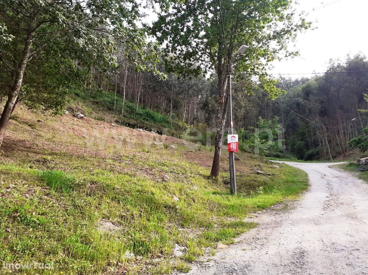 Terreno de construção, Vieira do Minho