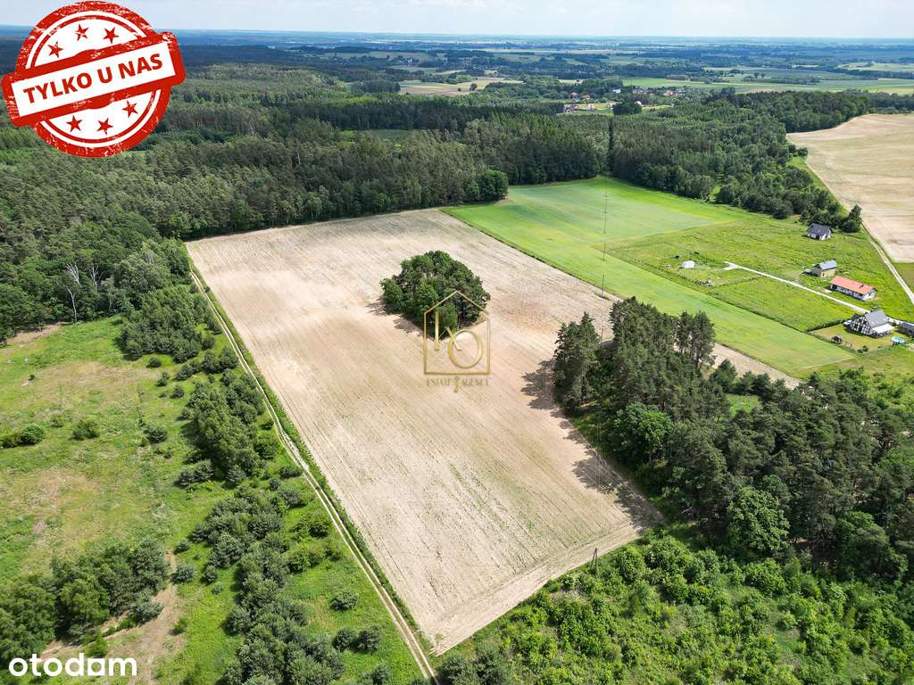 działka bud.Niedary/1000m2/2000m2 i więcej - Pełny obrazek: 4/7