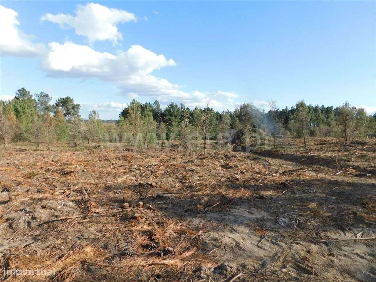 Quintinha / Fundão, Cortiçada - Grande imagem: 3/12