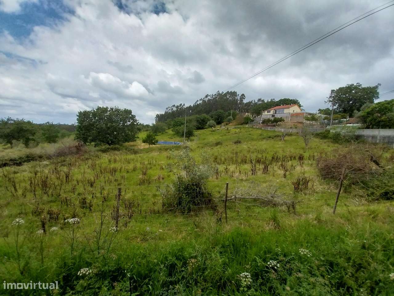 Terreno Agrícola || Pombal - Grande imagem: 2/8