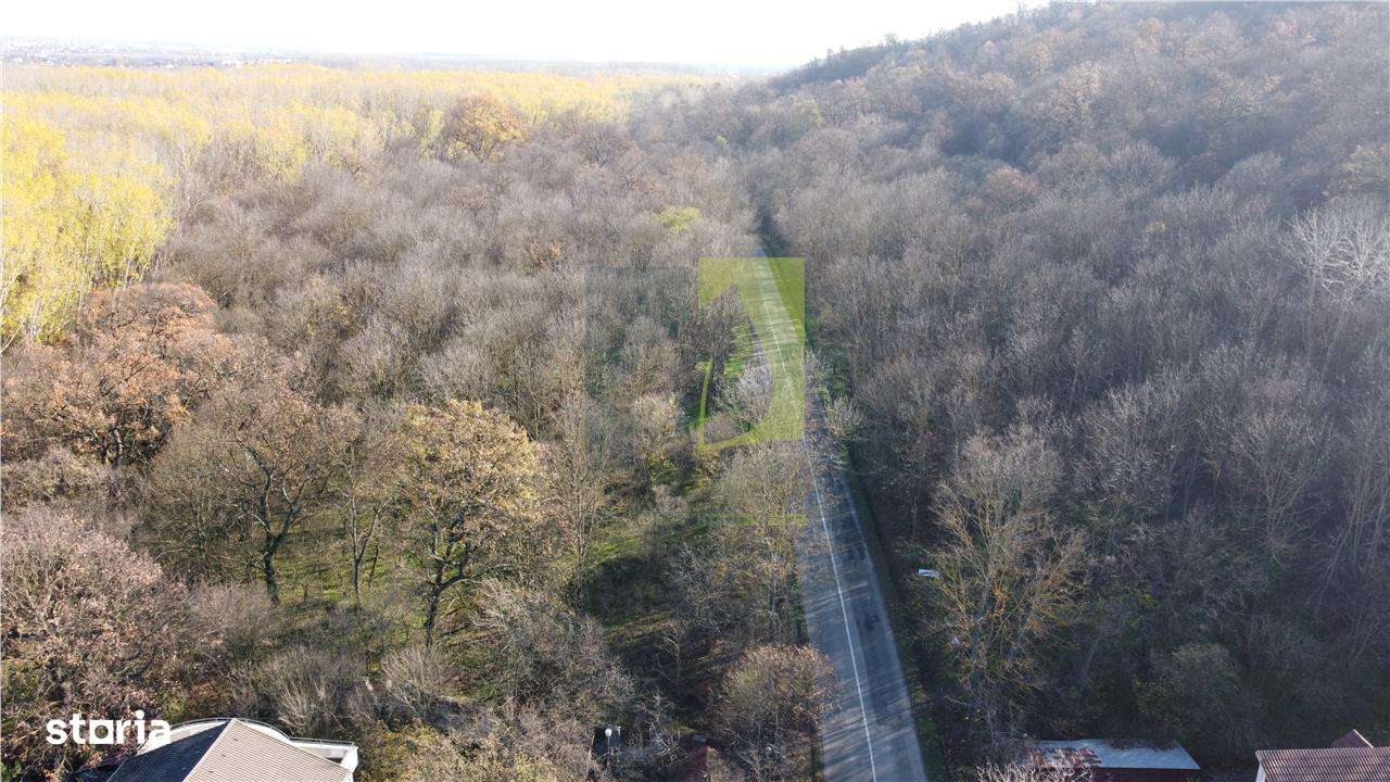 Teren de vanzare in Leamna de Jos - Imagine principală: 5/11