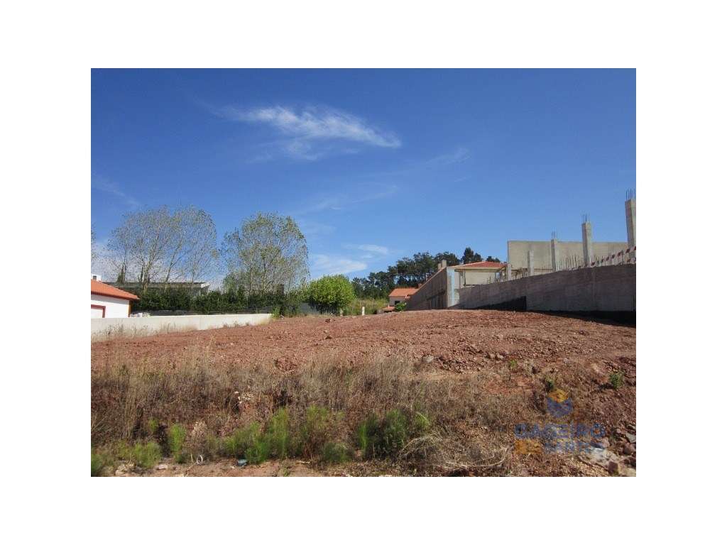 Lote Venda Cadaval - Grande imagem: 5/5