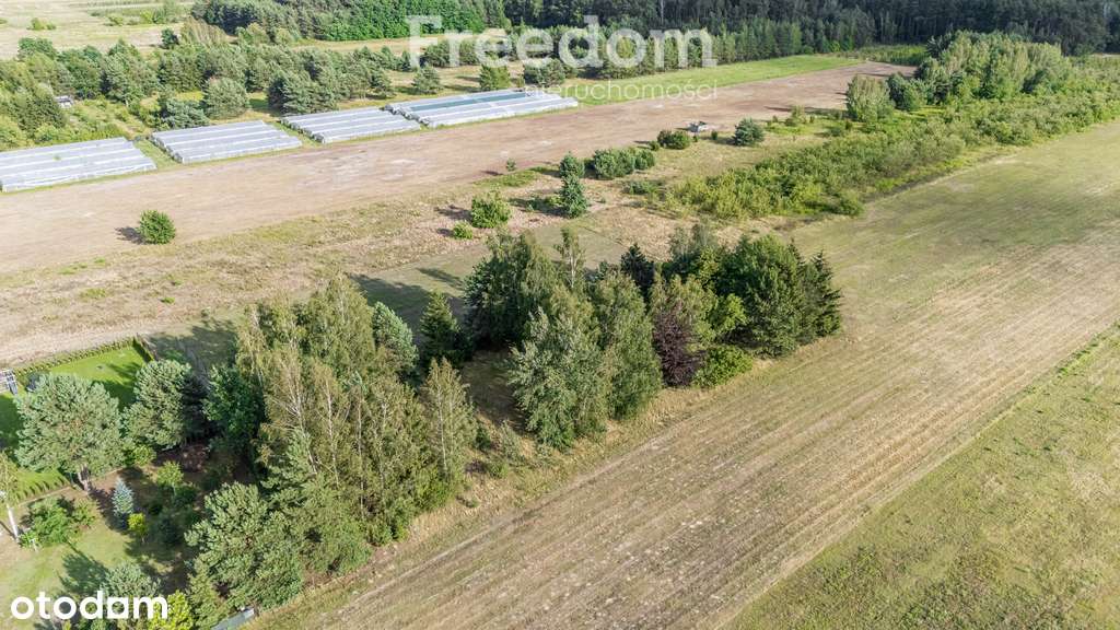 Działka 2500 m² – Buczynów, blisko Góra Kalwaria - Pełny obrazek: 4/10