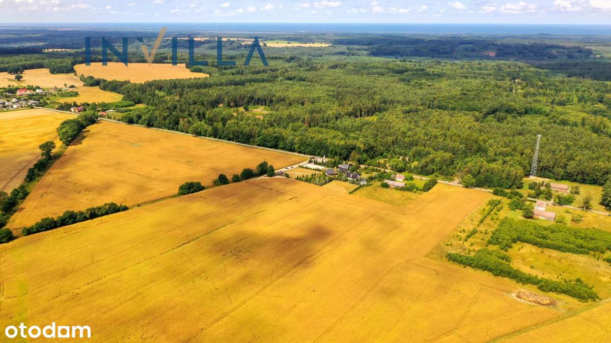 Atrakcyjna Działka Na Pobrzeżu Kaszubskim - Pełny obrazek: 5/6