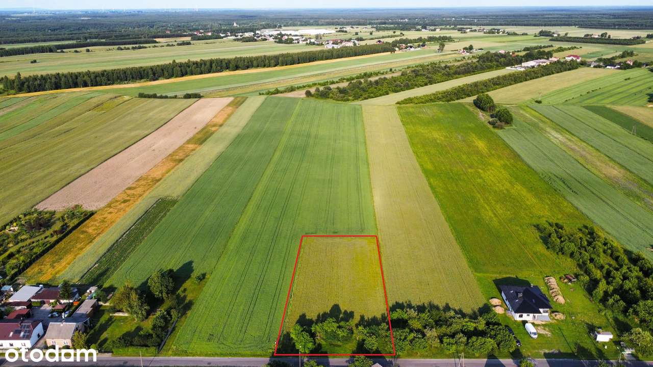 Prąd, woda, kanalizacja! Opcja podziału! 81m x 37m! BUDOWLANA !! - Pełny obrazek: 4/9