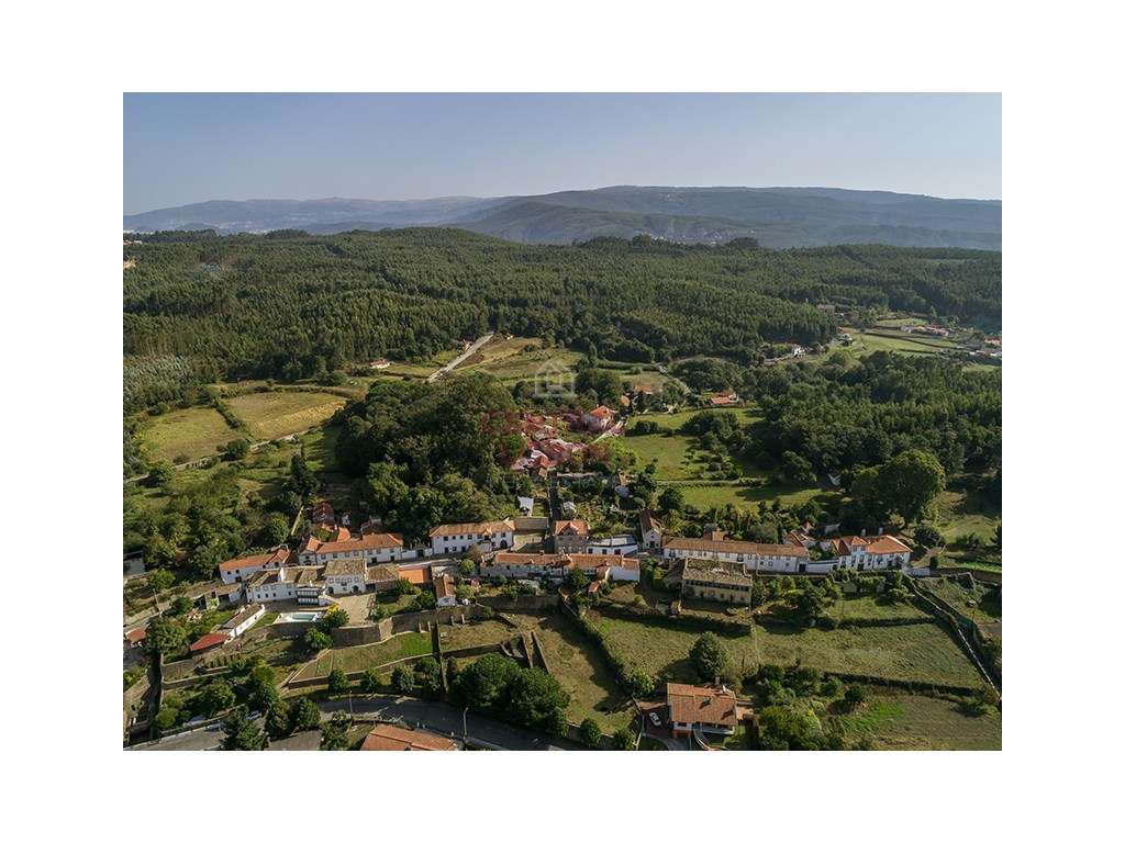 Terreno para Construção-Oliveira de Azemeis-Pinheiro da Bemposta-Av... - Grande imagem: 5/12