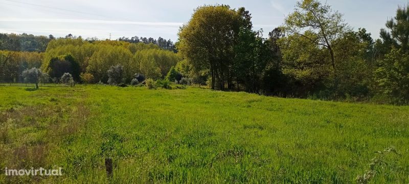 Terreno construção Viseu