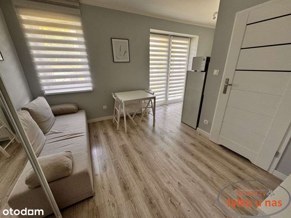 Mikrokawalerka Na Zielonym Dębcu - Pełny obrazek: 5/11