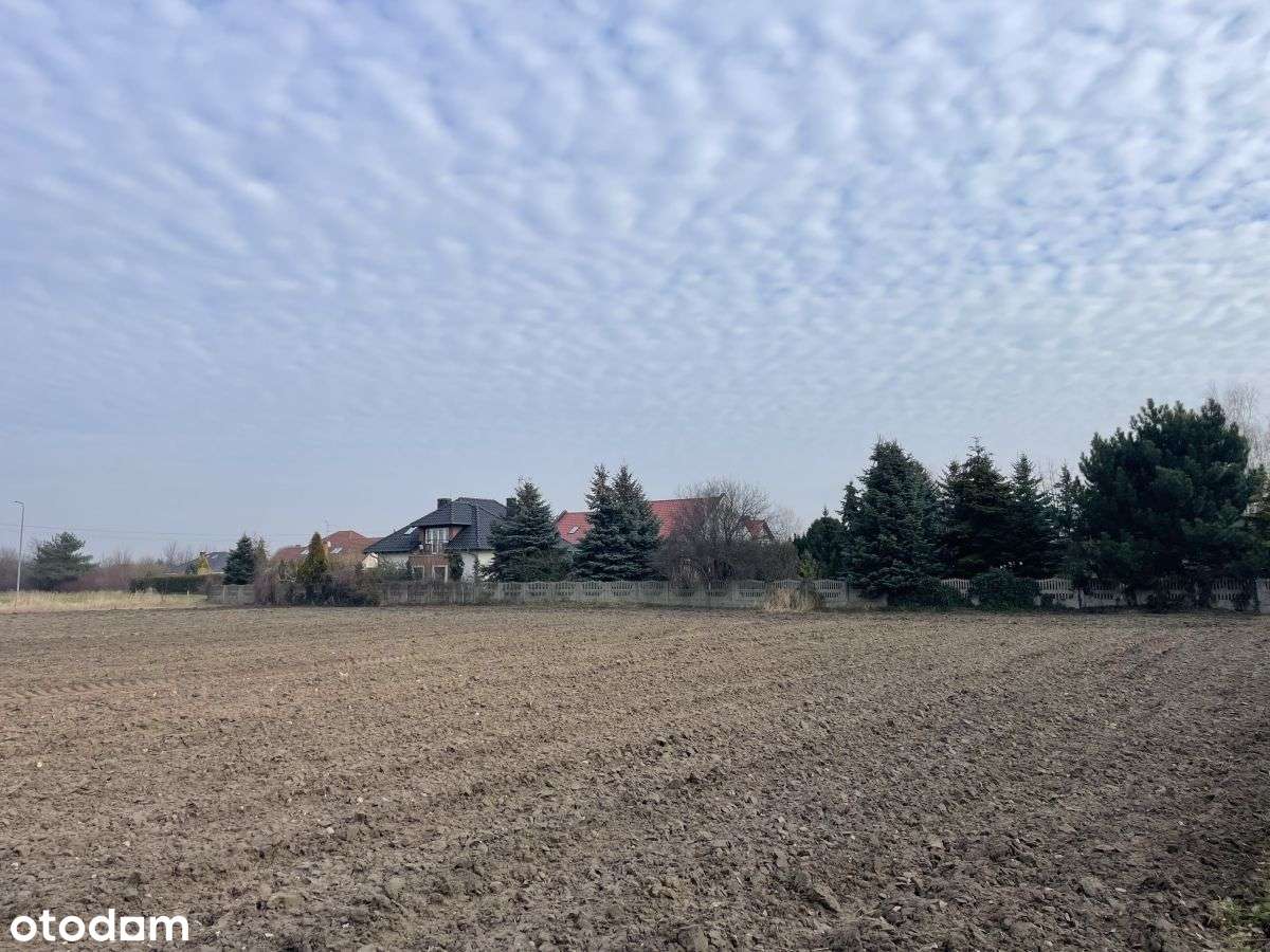 Działka z mpzp przemysłowa w Chludowie-0