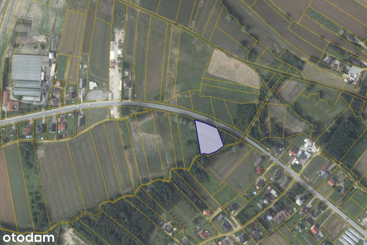 Działka 941 w miejscowości Trąbki - Pełny obrazek: 2/2