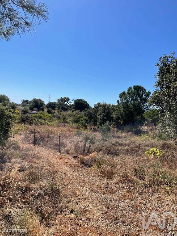 Terreno em Palmela - Grande imagem: 5/6