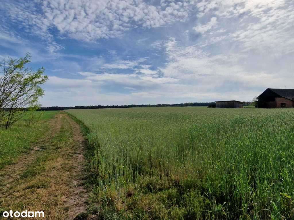 Nieruchomość idealna na inwestycję - agroturystykę - Pełny obrazek: 1/12