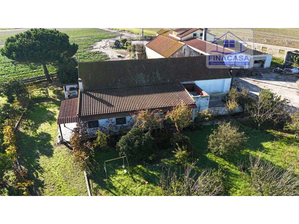 EXCLUSIVO - Quinta com 2069 m2, T1 e um armazém - Asseiceira(Palmela)-44