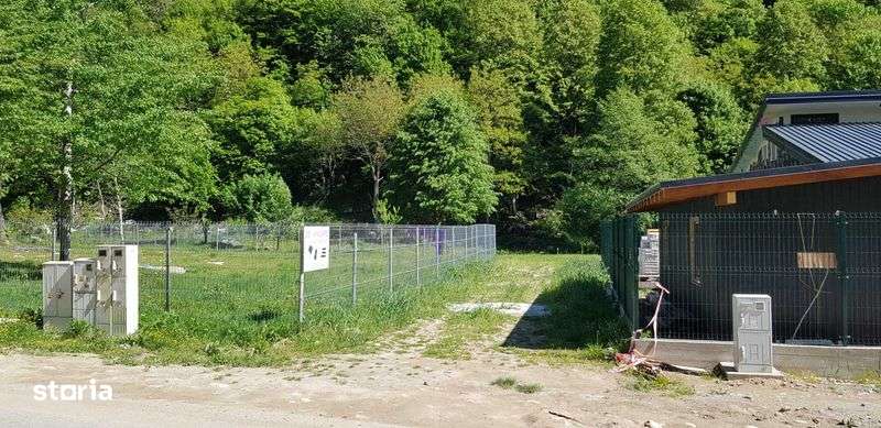 Teren Râul Mare - Retezat - Imagine principală: 5/6