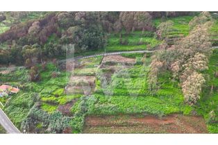 Terreno com 1214 m2 no Sítio do Marco - Santa do Porto Moniz - Grande imagem: 4/15