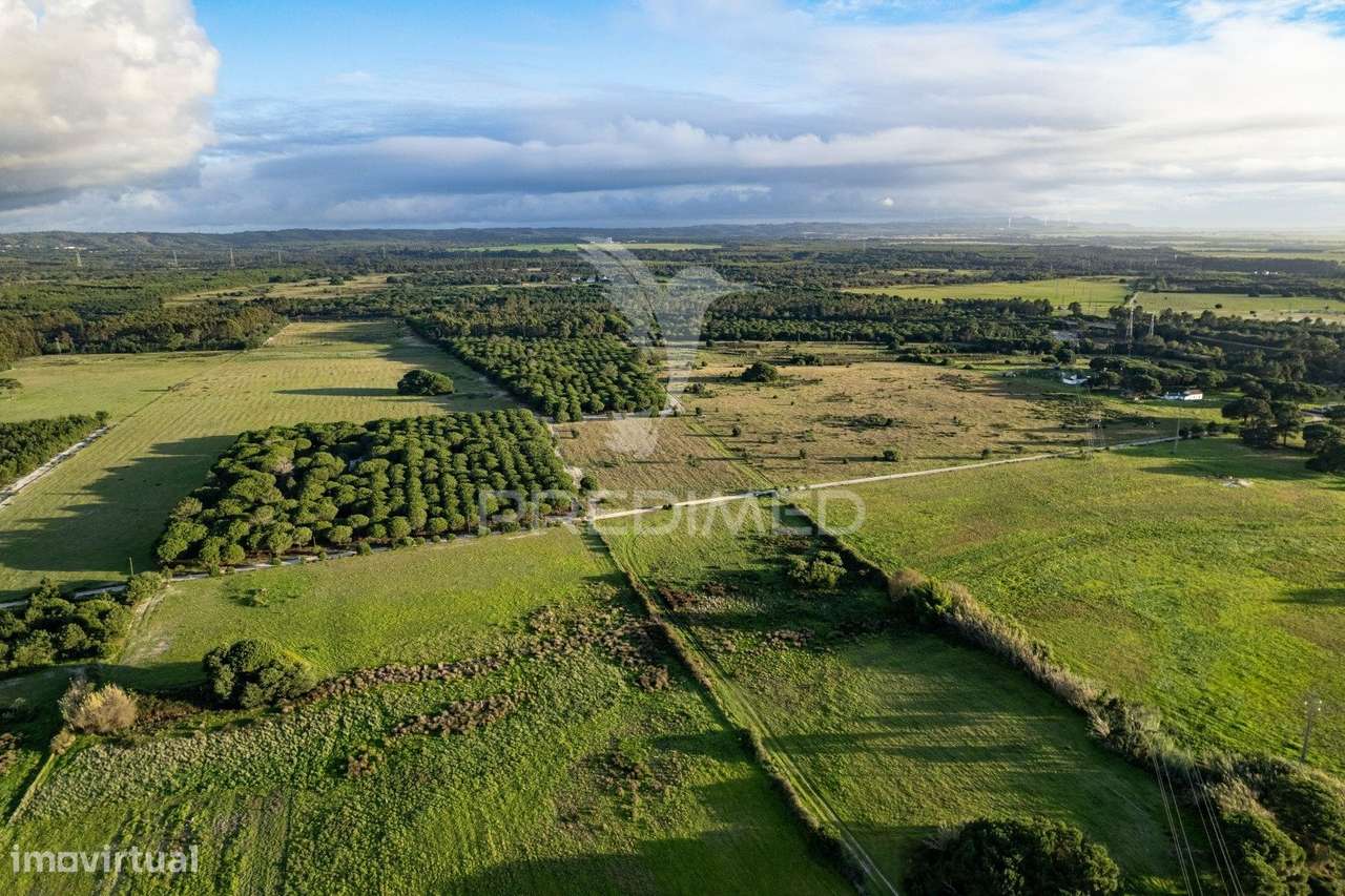 Terreno para fins industriais em Sines (ZILS) - Grande imagem: 5/15