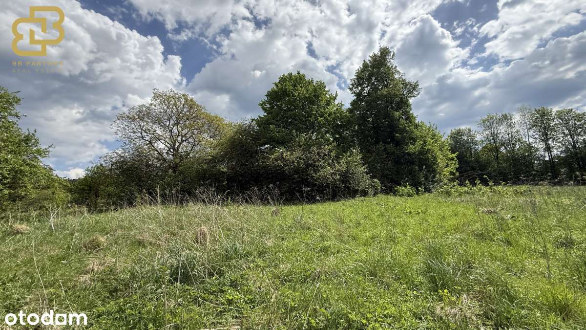 Twoja przestrzeń w naturze – działka 1,78 ha-8