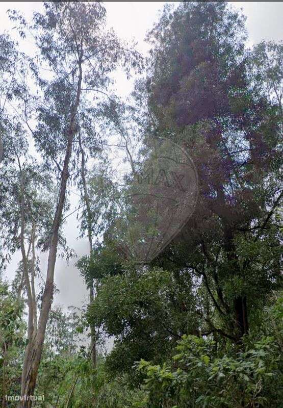 Terreno  para venda - Grande imagem: 2/3